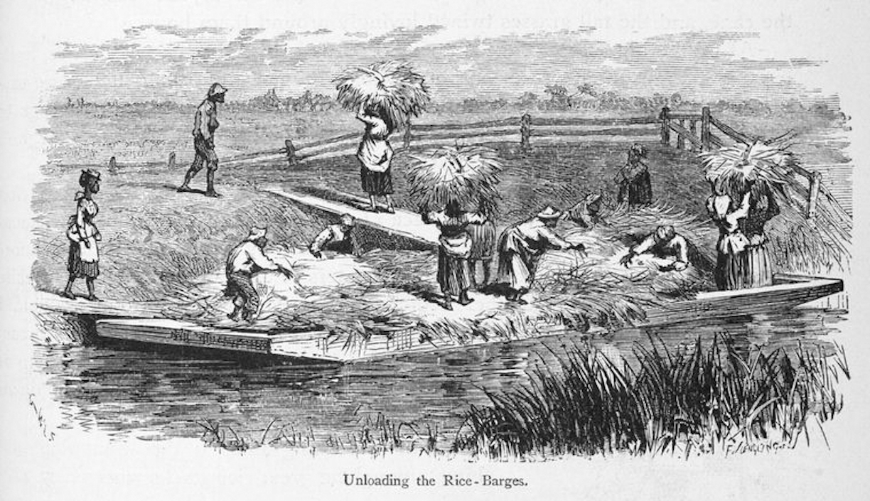 Unloading rice barges, 1874